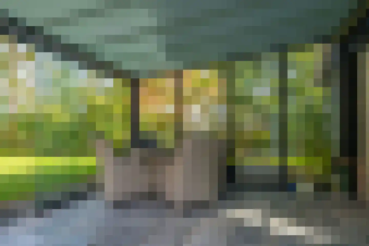 Bielemansdijk 28 Halle thumbnail 65