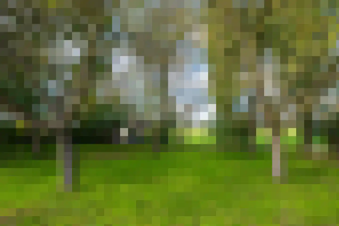 Bielemansdijk 28 Halle thumbnail 80