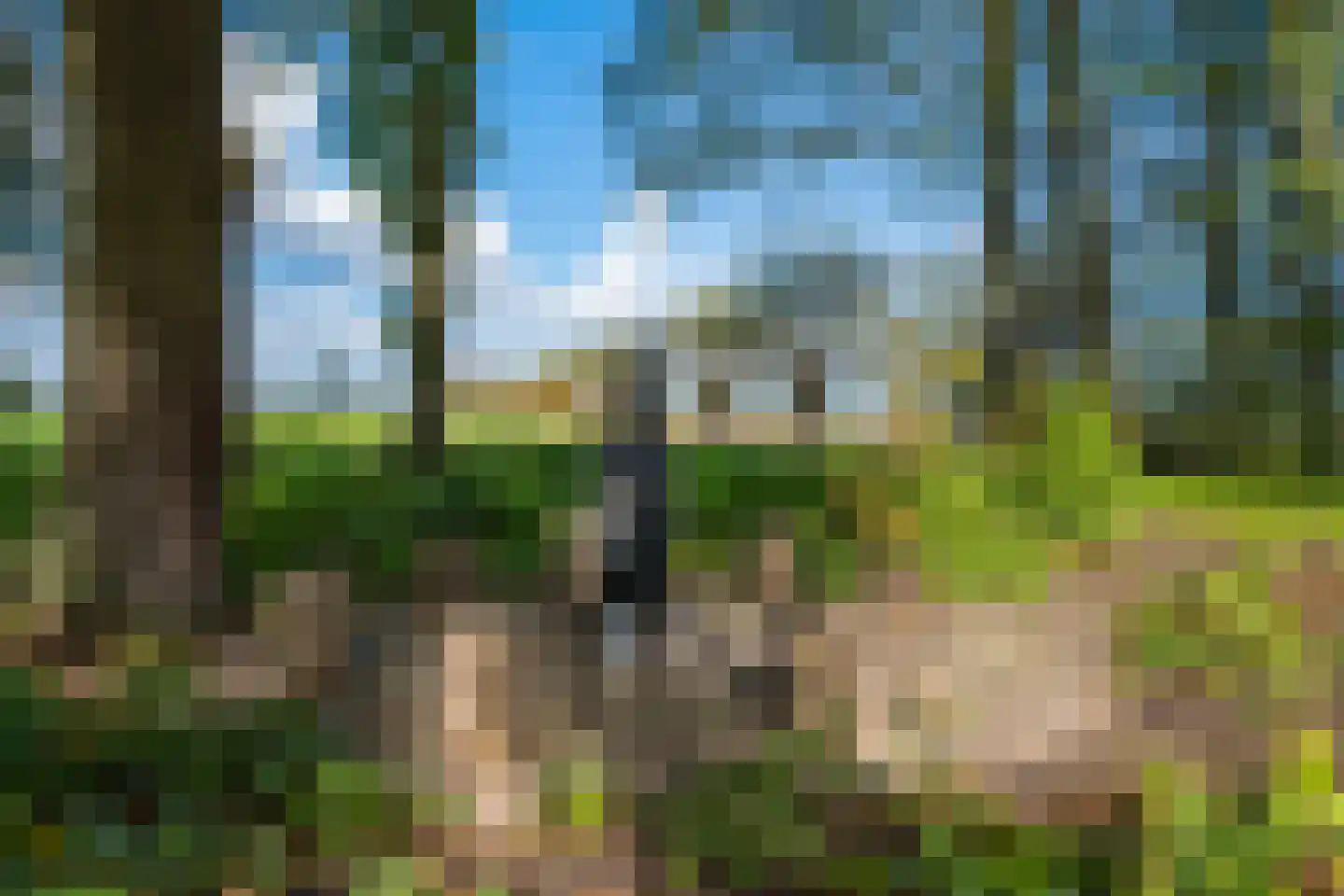 Bielemansdijk 28 Halle thumbnail 82