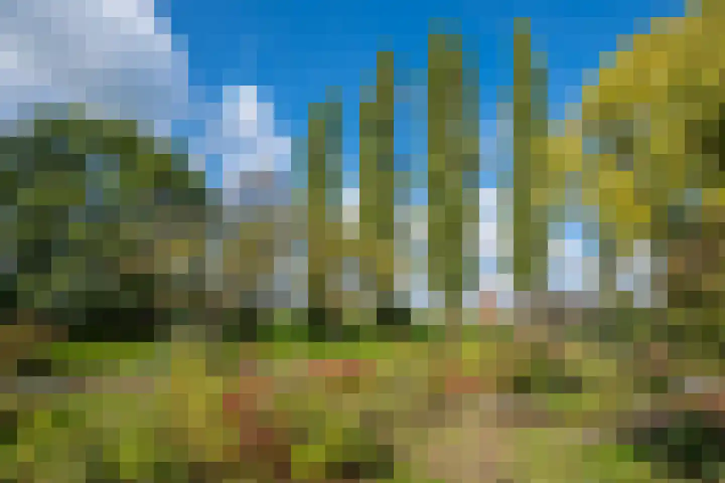 Bielemansdijk 28 Halle thumbnail 85
