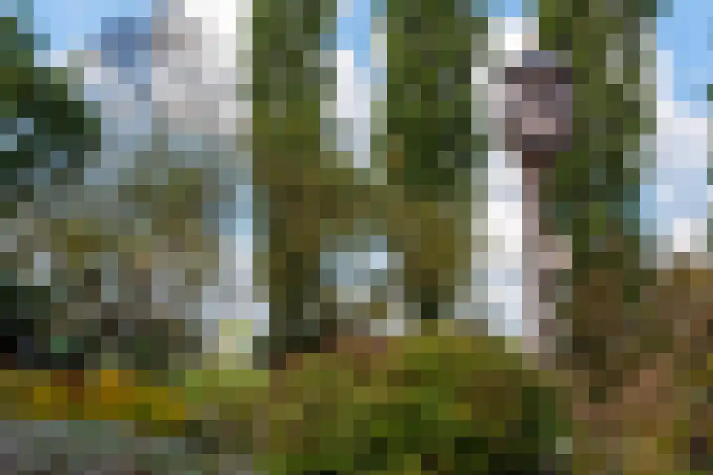 Bielemansdijk 28 Halle thumbnail 86