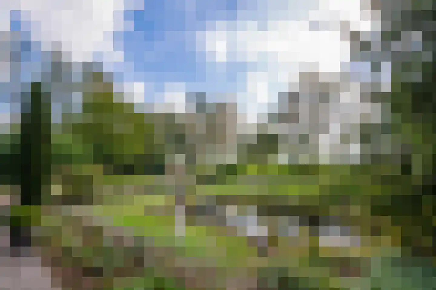 Bielemansdijk 28 Halle thumbnail 87