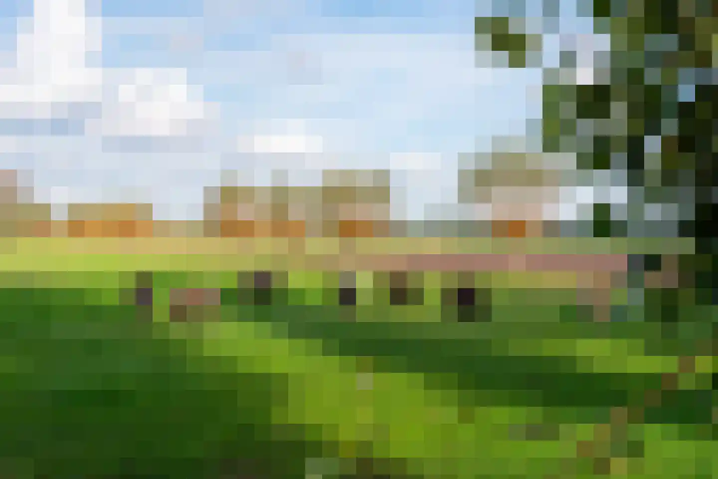 Bielemansdijk 28 Halle thumbnail 89