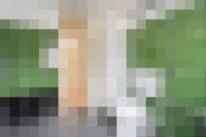 Bieleveldlaan 43 Hoogeveen thumbnail 21