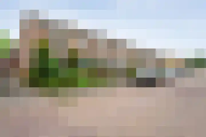 Bieleveldlaan 43 Hoogeveen thumbnail 31