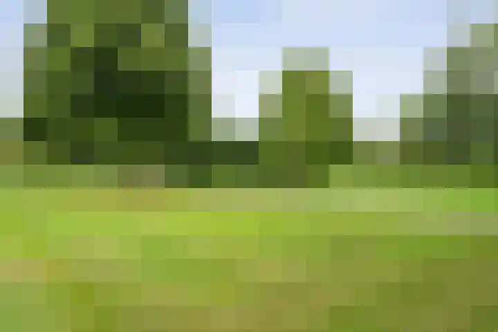 Bieleveldlaan 43 Hoogeveen thumbnail 33