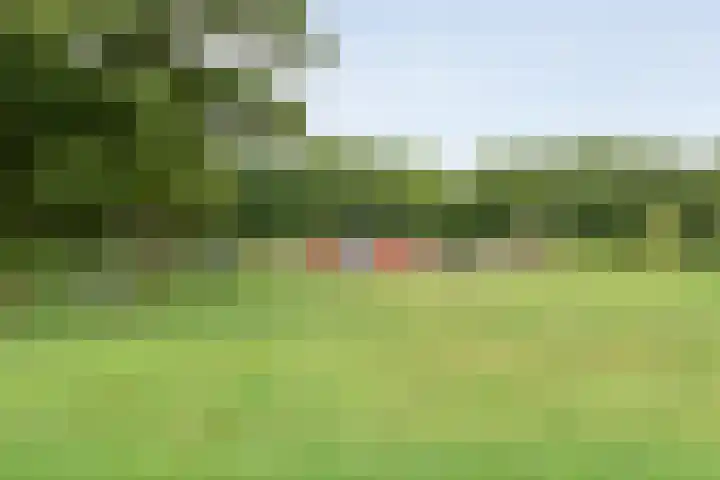 Bieleveldlaan 43 Hoogeveen thumbnail 34