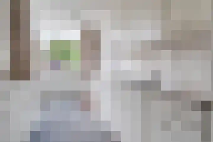 Bieleveldlaan 43 Hoogeveen thumbnail 6