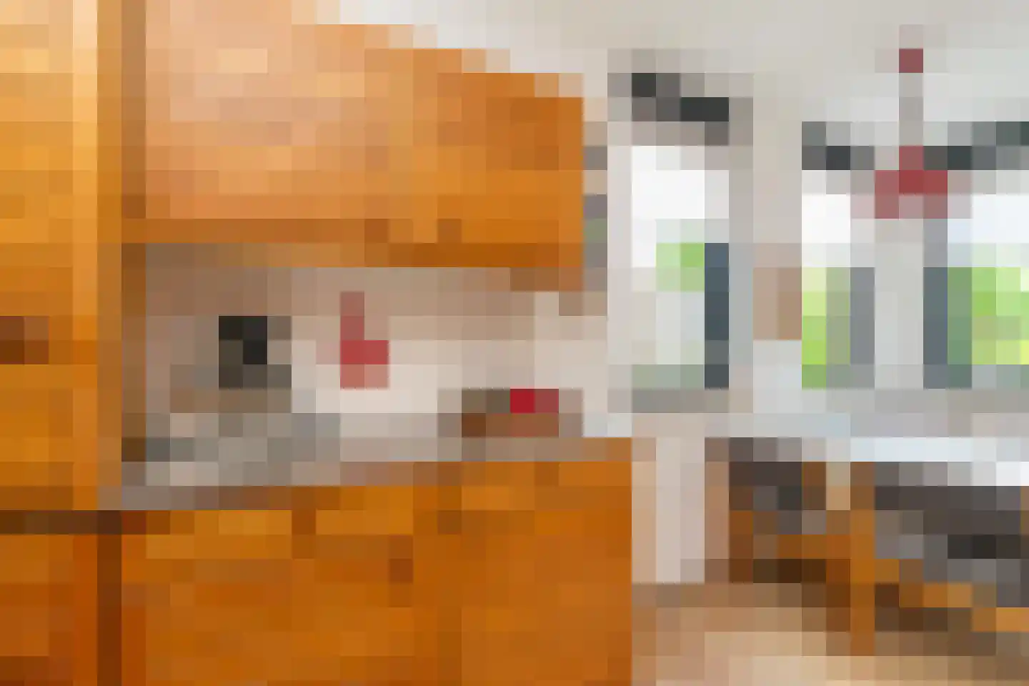 Bieleveldlaan 73 Hoogeveen thumbnail 17