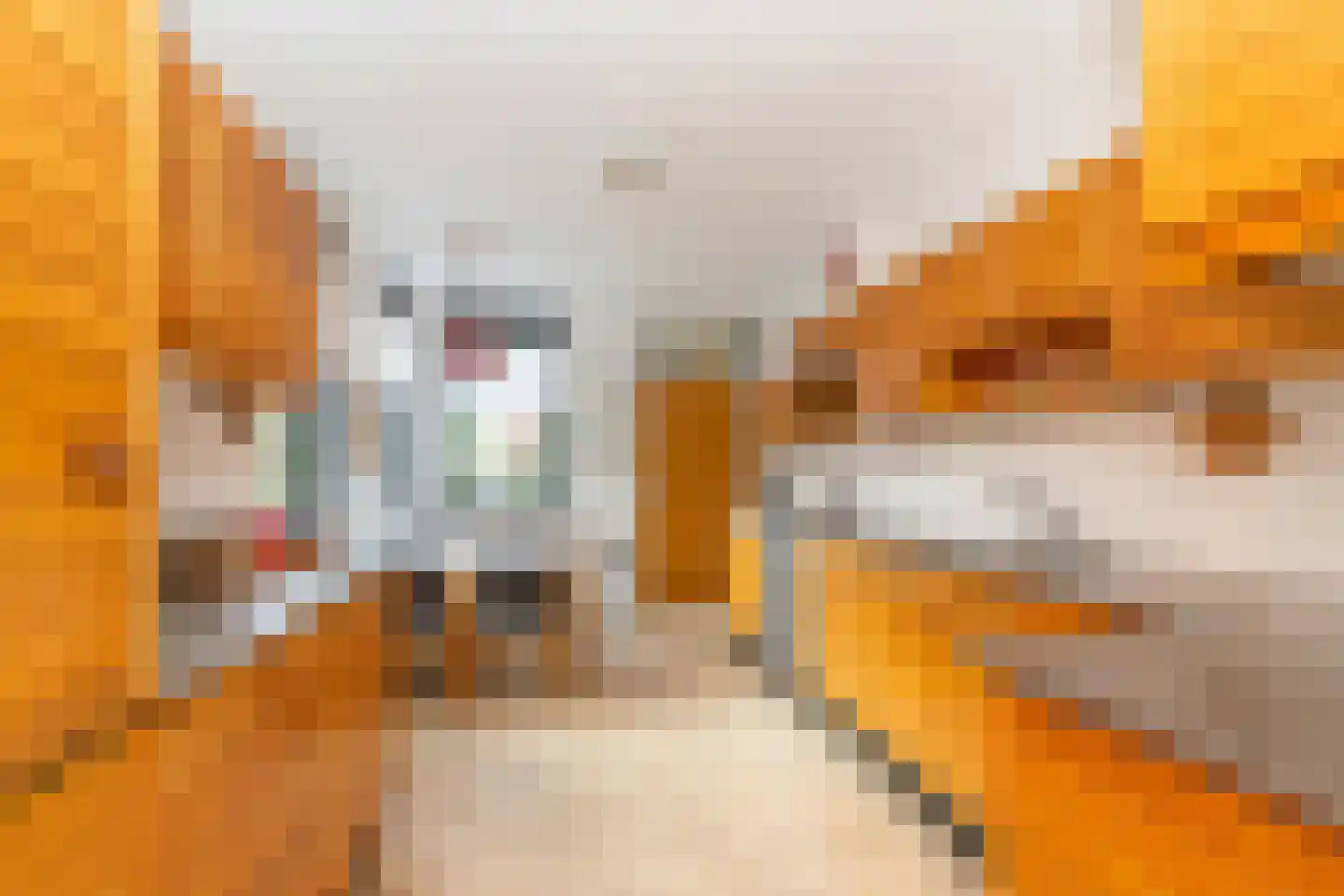 Bieleveldlaan 73 Hoogeveen thumbnail 19