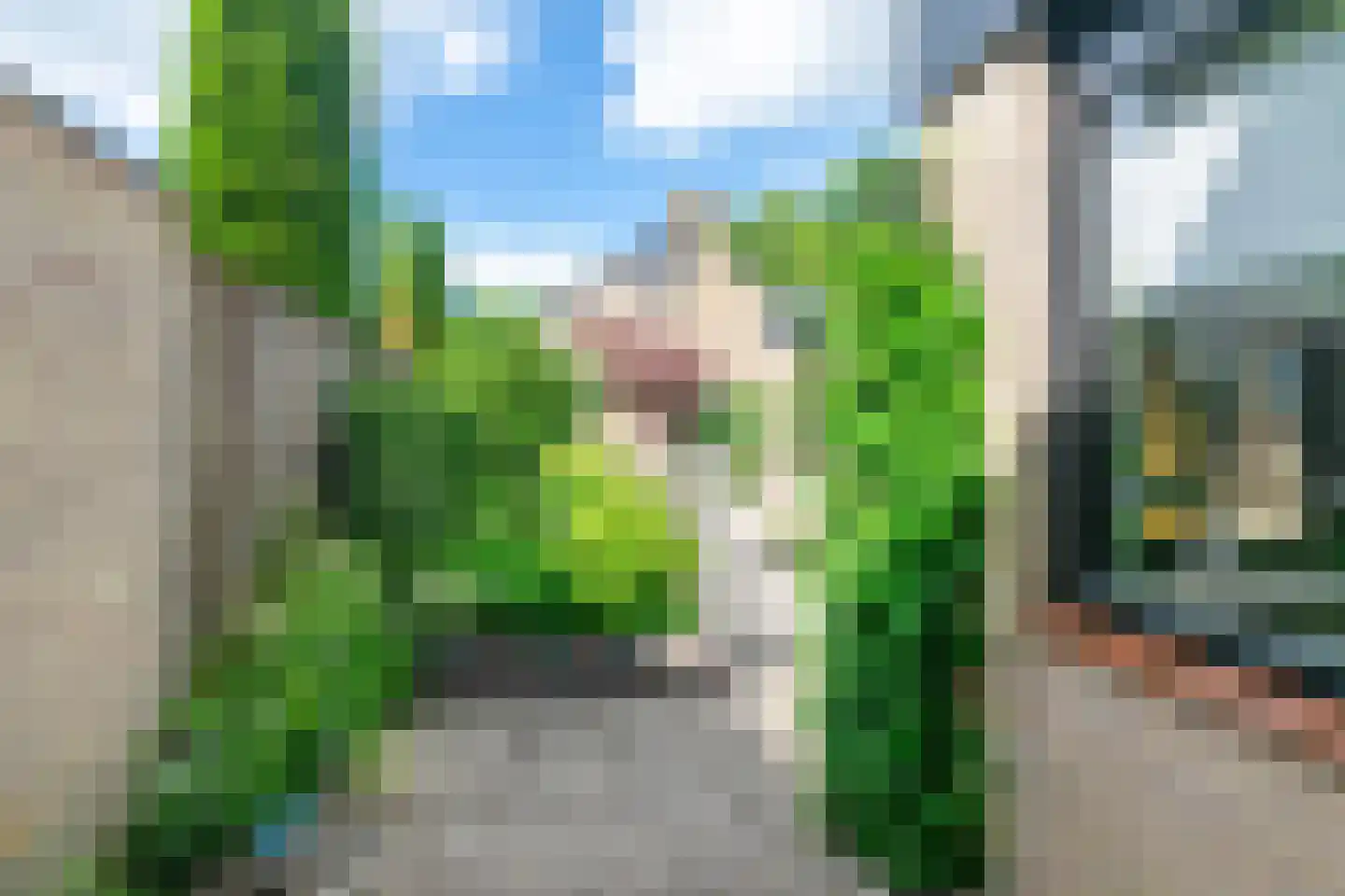 Bieleveldlaan 73 Hoogeveen thumbnail 41