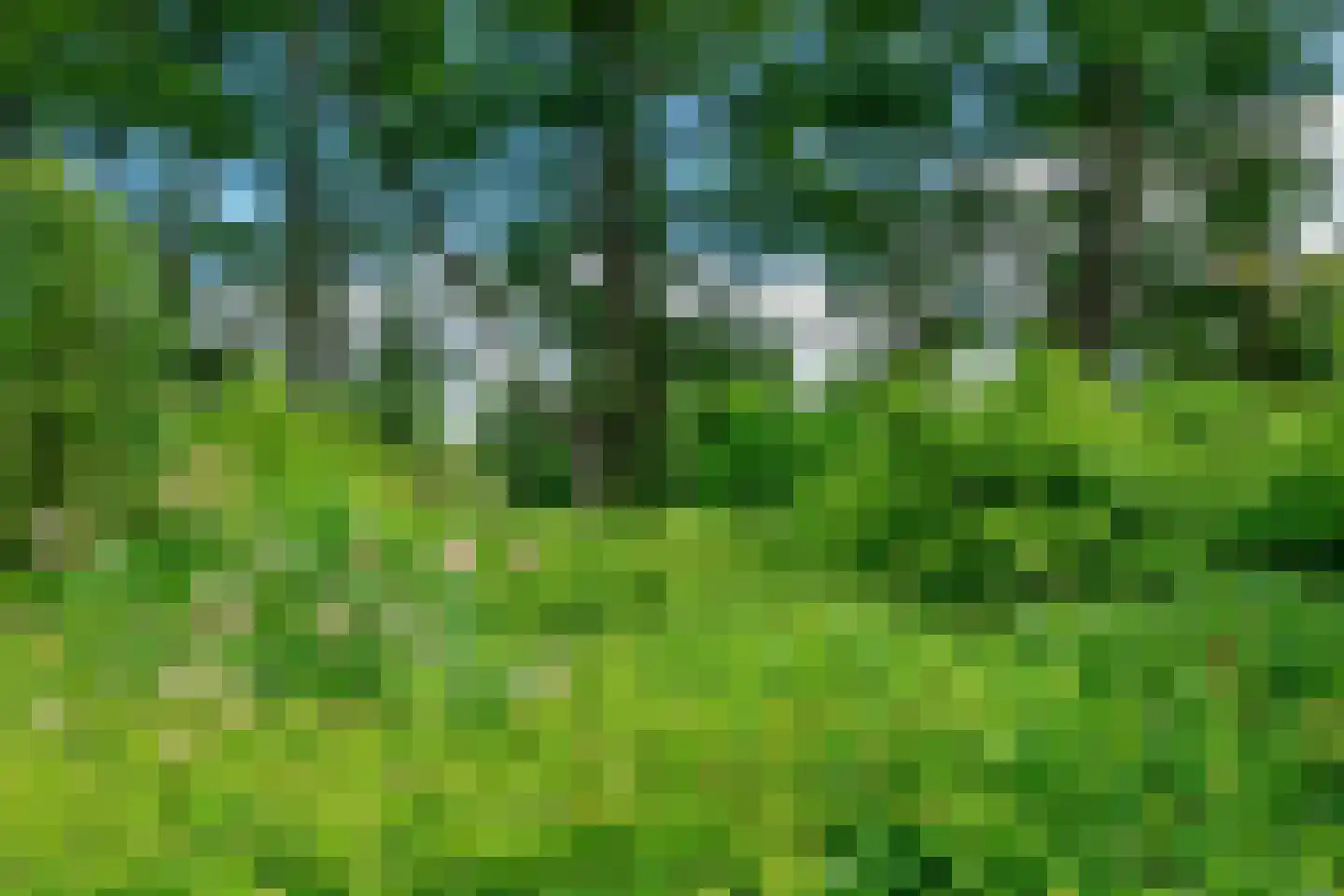Bieleveldlaan 73 Hoogeveen thumbnail 52