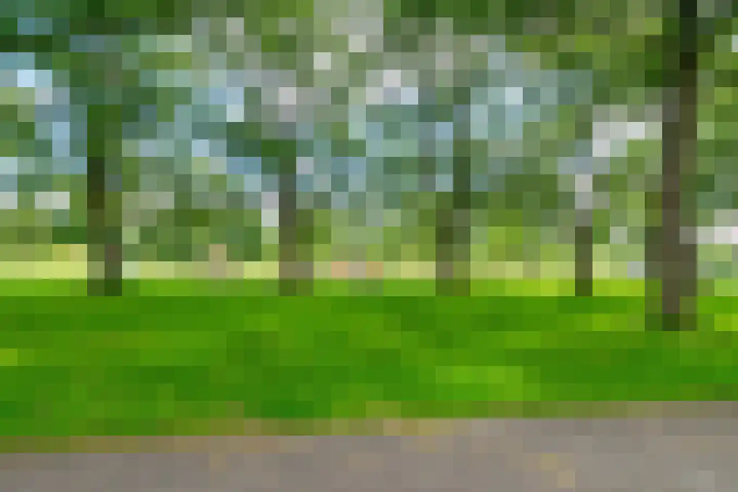 Bieleveldlaan 73 Hoogeveen thumbnail 54