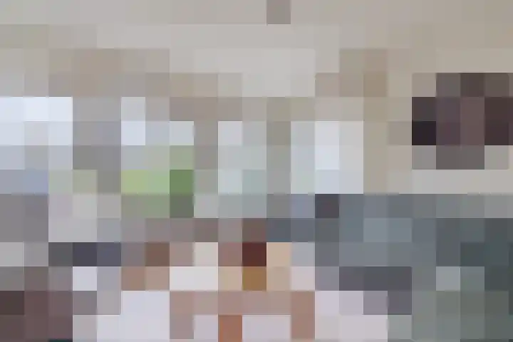 Bieleveldlaan 9 Hoogeveen thumbnail 12
