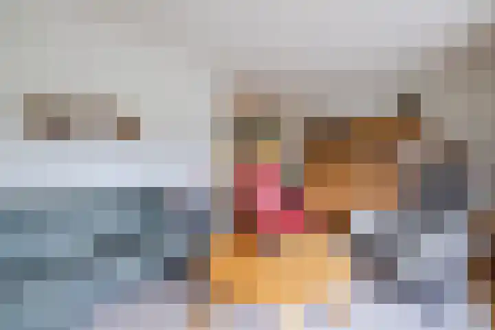 Bieleveldlaan 9 Hoogeveen thumbnail 16