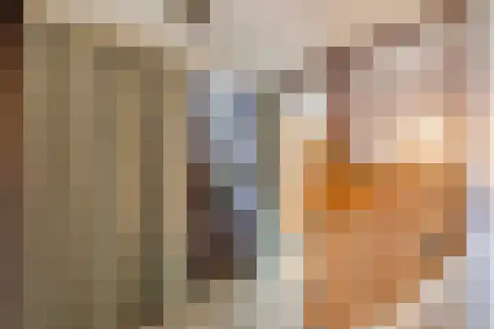 Bieleveldlaan 9 Hoogeveen thumbnail 33