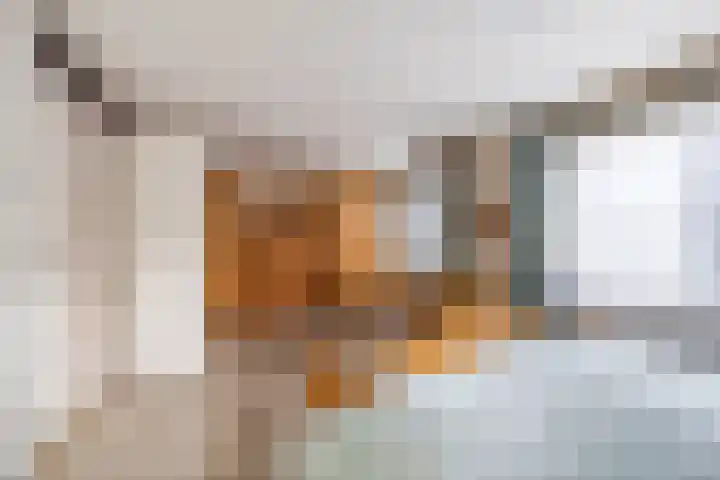 Bieleveldlaan 9 Hoogeveen thumbnail 39