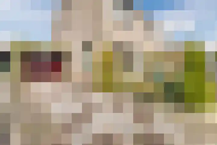 Bieleveldlaan 9 Hoogeveen thumbnail 4