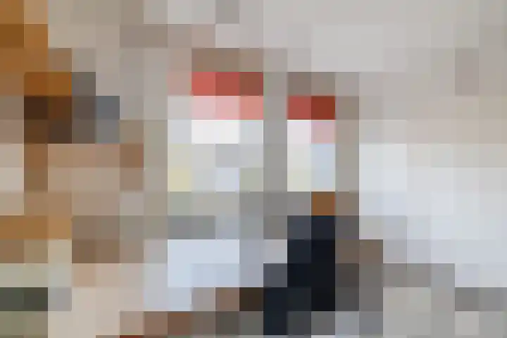 Bieleveldlaan 9 Hoogeveen thumbnail 45