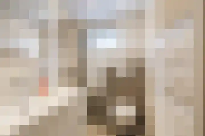 Bieleveldlaan 9 Hoogeveen thumbnail 46