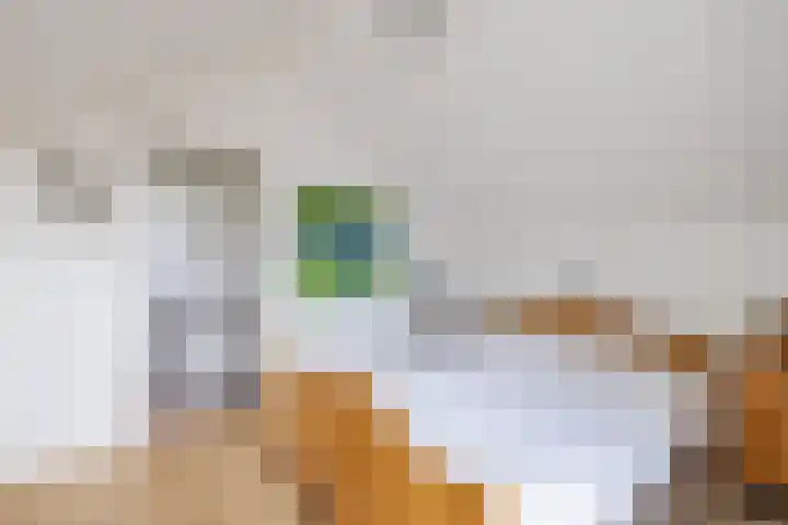 Bieleveldlaan 9 Hoogeveen thumbnail 52