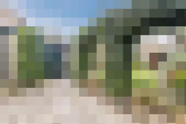 Bieleveldlaan 9 Hoogeveen thumbnail 59