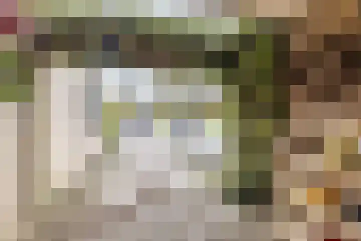 Bieleveldlaan 9 Hoogeveen thumbnail 6