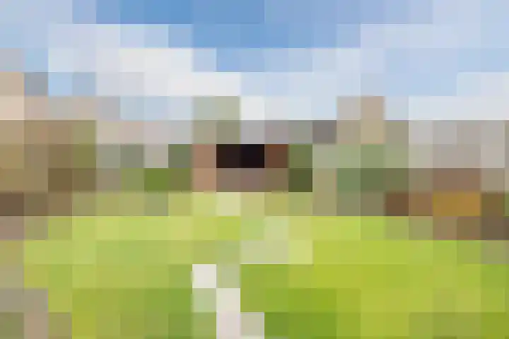 Bieleveldlaan 9 Hoogeveen thumbnail 60