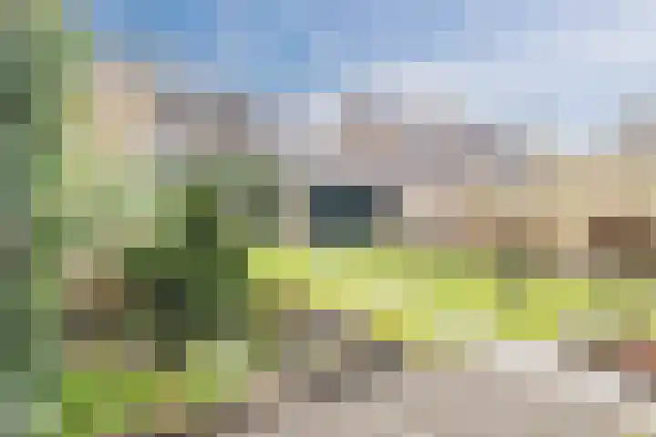 Bieleveldlaan 9 Hoogeveen thumbnail 63