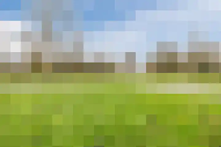 Bieleveldlaan 9 Hoogeveen thumbnail 67