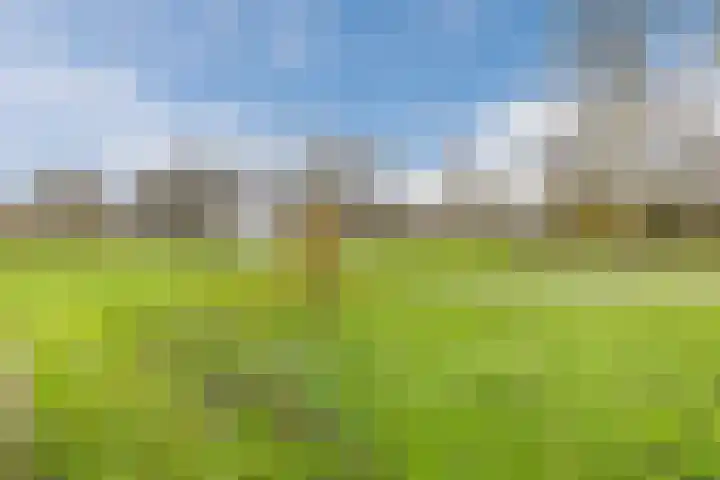 Bieleveldlaan 9 Hoogeveen thumbnail 68