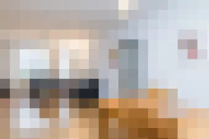 Bielveld 17 Einighausen thumbnail 15