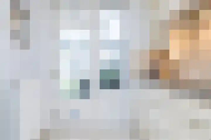 Bielveld 17 Einighausen thumbnail 17