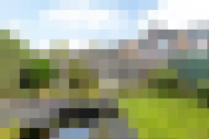 Bielveld 17 Einighausen thumbnail 21