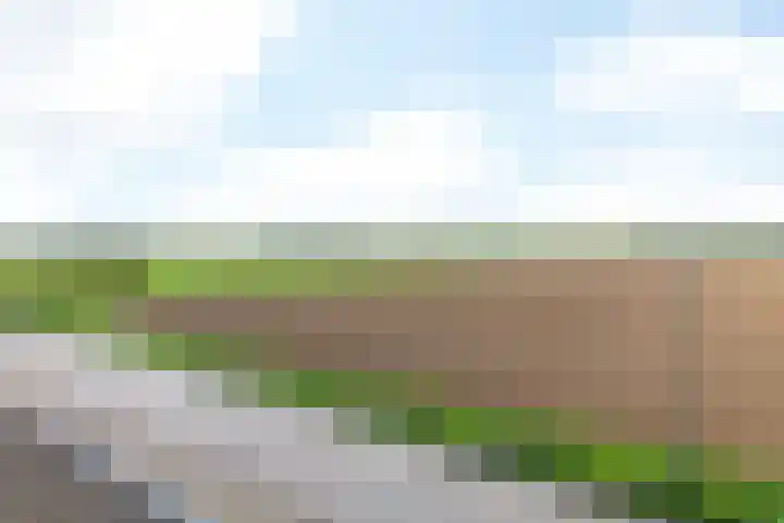 Bielveld 17 Einighausen thumbnail 41