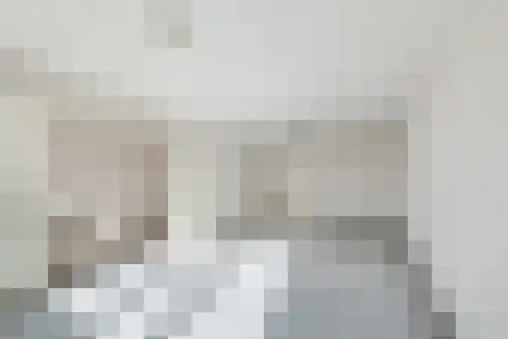 Bielzen 12 Heerenveen thumbnail 10