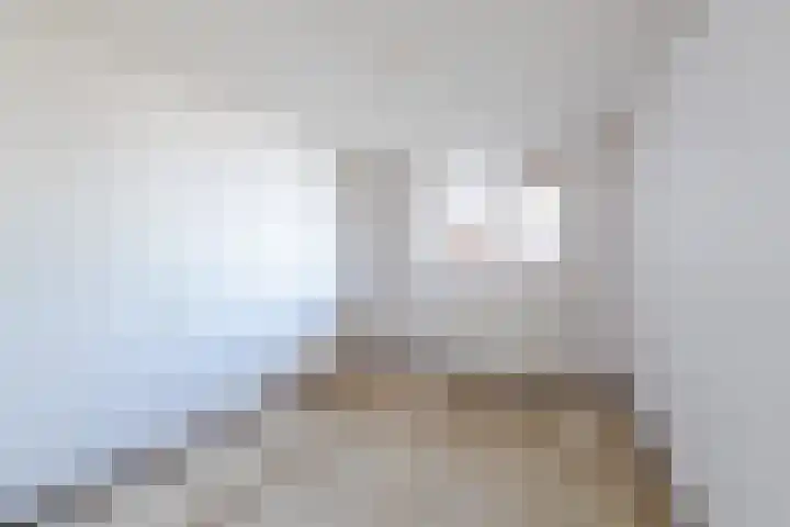Bielzen 12 Heerenveen thumbnail 15