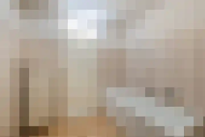 Bielzen 12 Heerenveen thumbnail 17