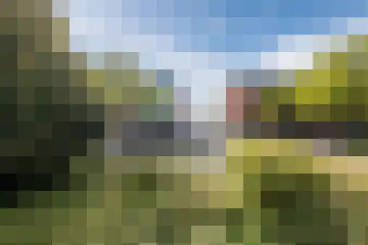 Bielzen 12 Heerenveen thumbnail 22