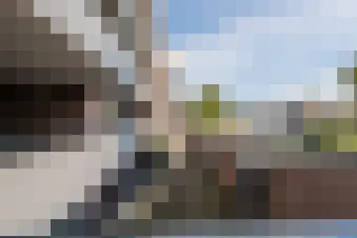 Bielzen 12 Heerenveen thumbnail 23