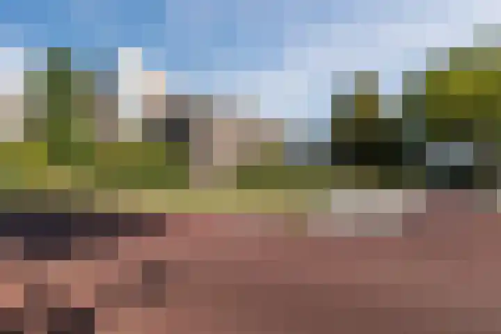 Bielzen 12 Heerenveen thumbnail 5