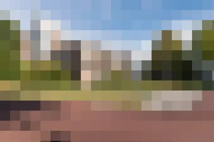 Bielzen 12 Heerenveen thumbnail 6