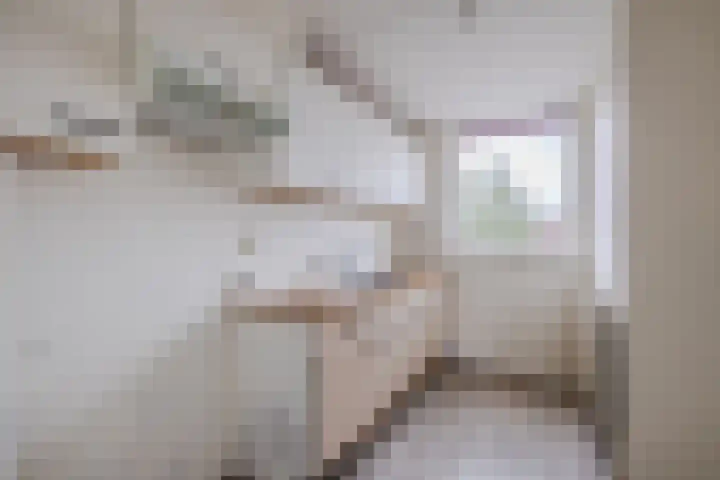 Bielzen 25 Heerenveen thumbnail 19
