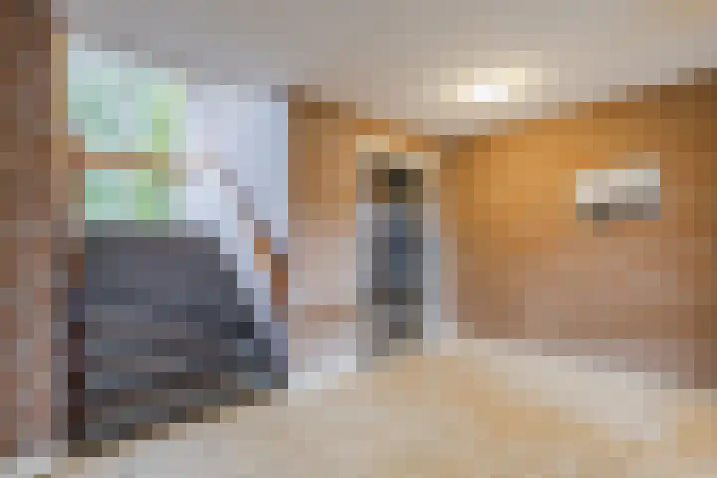 Bielzen 25 Heerenveen thumbnail 7