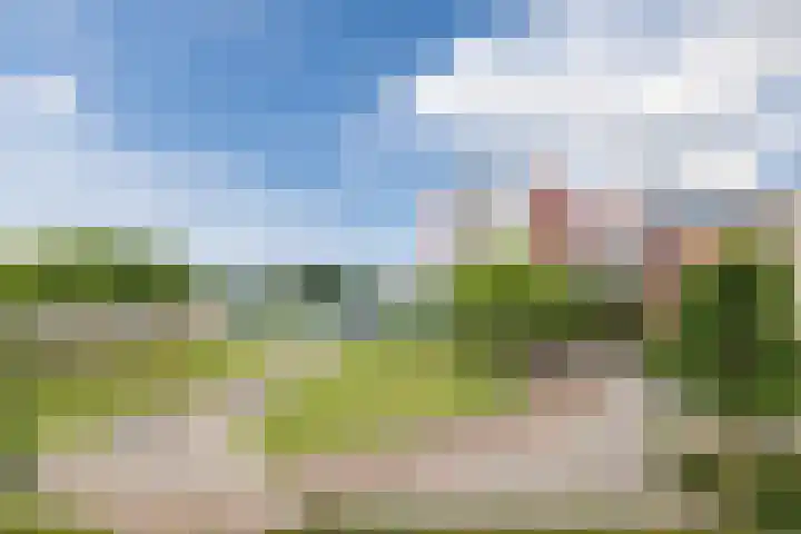 Bielzen 34 Heerenveen thumbnail 21
