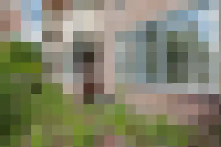 Bielzen 6 Heerenveen thumbnail 10