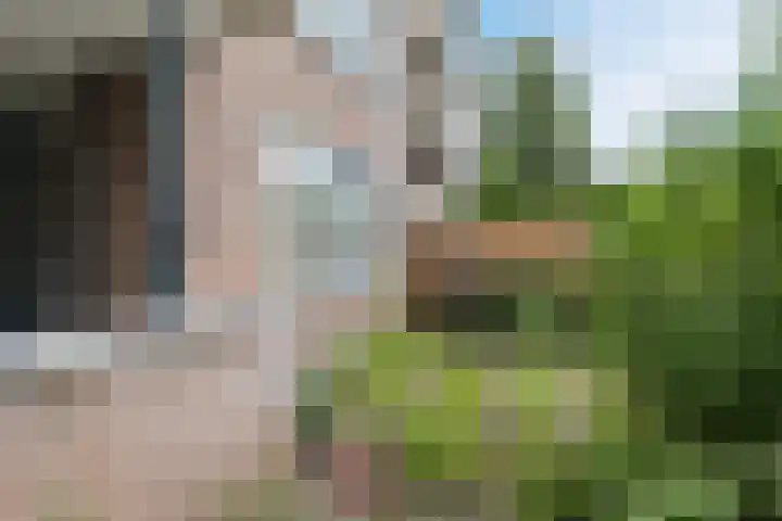Bielzen 6 Heerenveen thumbnail 11