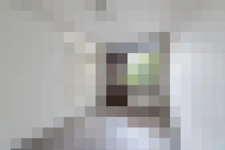 Bielzen 6 Heerenveen thumbnail 13