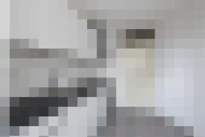 Bielzen 6 Heerenveen thumbnail 18
