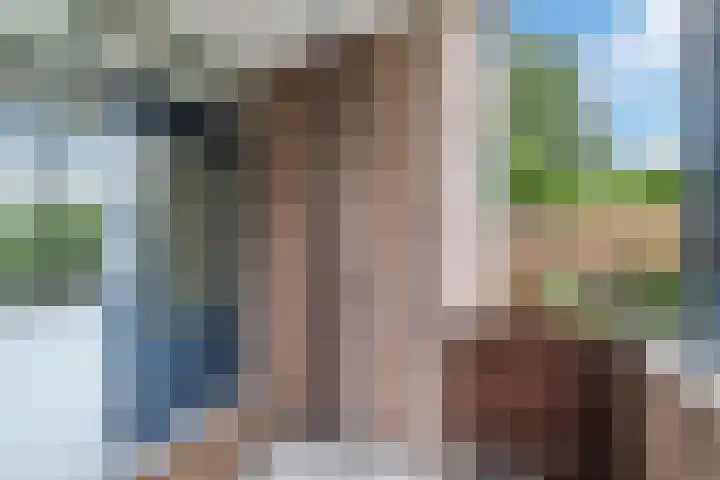 Bielzen 6 Heerenveen thumbnail 7